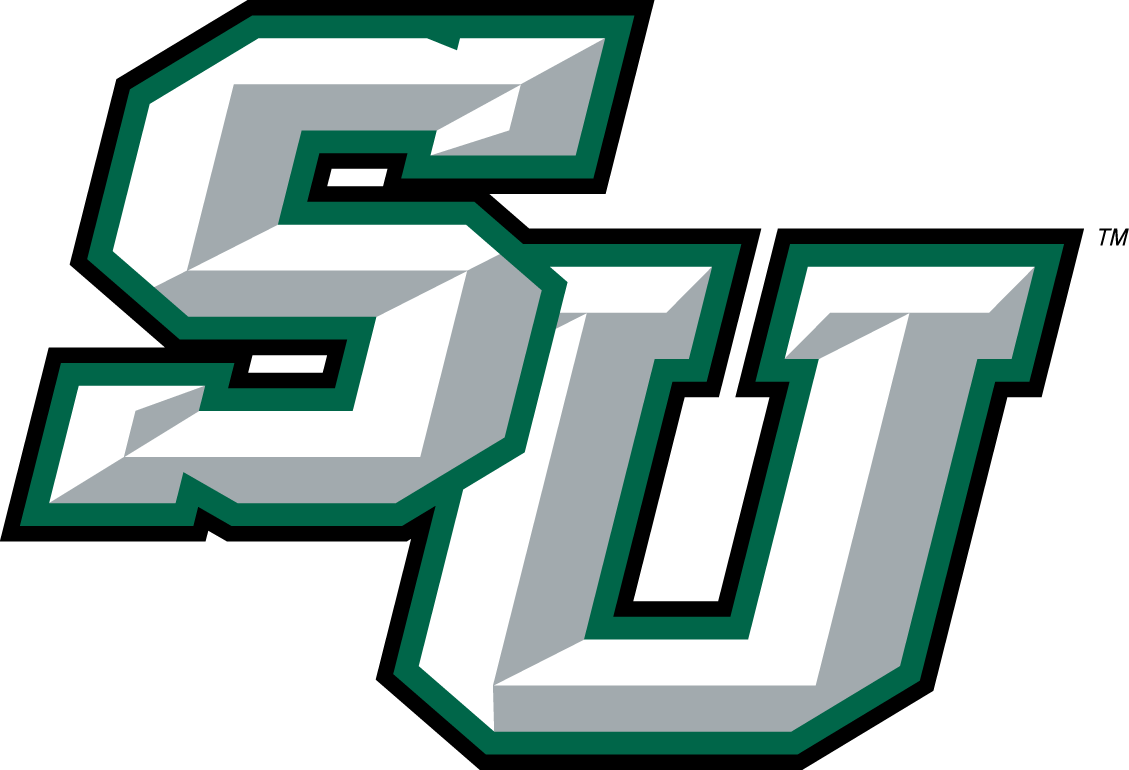 Stetson Hatters 2008-2017 Alternate Logo t shirts iron on transfers